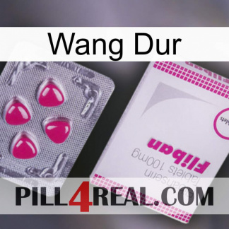 Hard Wang 32